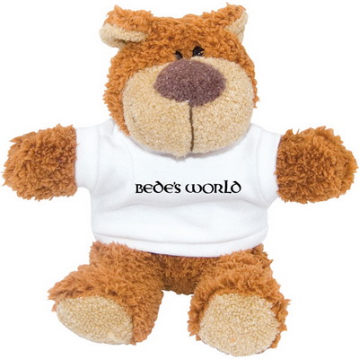 Image of Promotional Branded Teddy Bear and T Shirt