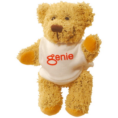 Image of Printed Teddy Bear with White T Shirt